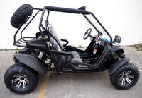 Trailmaster Cheetah 200EX Off Road UTV / Go Kart / side-by-side Wind Shield, Light bar, Spare Tire, Upgraded Center Pivot rear end, Fuel Injected