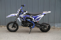 RPS 110S 107cc Youth Dirt Bike, Automatic Transmission, Electric Start, Front and Rear Hydraulic Disc Brakes, 12 Inch Front Tire, Dual Hydraulic Front Forks, 31.5 Inch Seat Height