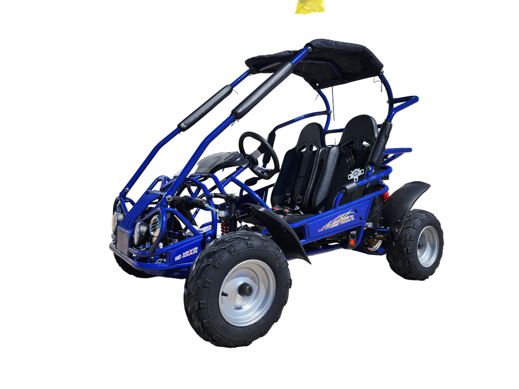 TRAILMASTER Eagle Mid XRX/R - With Reverse, Deluxe Go Kart Buggy With Reverse , Full roll cage and safety harness, Ages 10 and up, 196 CC Electric start.