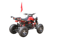 RPS Blizzard 200 Sport ATV - Adult Full Size, 169cc, Automatic with Reverse, 21-Inch Front Tires, Alloy Rims, with Free Battery Charge, up to $49 value