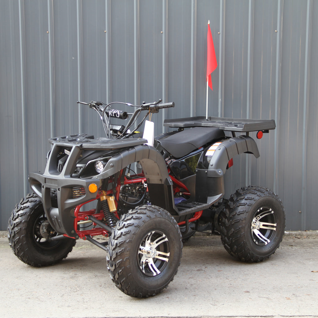 RPS Desert 200 Utility ATV Deluxe Full Size Adult ATV, Automatic with Reverse, Aluminum Rim 21-inch Tires with Free Battery Charge, up to $49 value