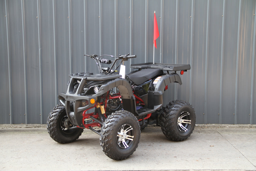 RPS Desert 200 Utility ATV Deluxe Full Size Adult ATV, Automatic with Reverse, Aluminum Rim 21-inch Tires with Free Battery Charge, up to $49 value