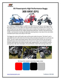 Trailmaster Eagle 300XRSE EFI Ultra Buggy Go Kart Largest Engine, Fuel Injected Motor, Over Sized disc brakes, Water Cooled