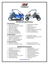 Trailmaster Eagle 300XRSE EFI Ultra Buggy Go Kart Largest Engine, Fuel Injected Motor, Over Sized disc brakes, Water Cooled