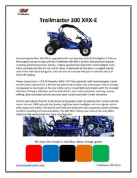 TRAILMASTER Eagle 300XRX-E (EFI) Buggy / Go Kart  Water Cooled, Fuel Injected, Independent rear axles, Double A Arm Coil