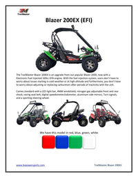 Trailmaster ULTRA BLAZER 200EX EFI Go Kart. Larger Tires, Custom Chrome Rims, Body Kit, Light Bar WindShield Fuel Injected