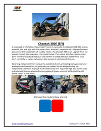 Trailmaster Cheetah 300E Off Road UTV/Go kart 18 HP Fuel Injected, Upgraded rear suspension