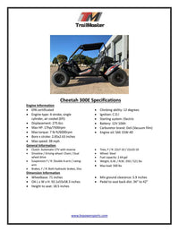 Trailmaster Cheetah 300E Off Road UTV/Go kart 18 HP Fuel Injected, Upgraded rear suspension