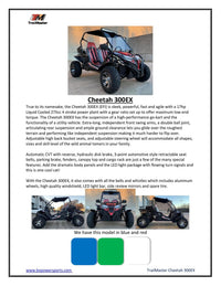 Trailmaster Cheetah 300EX Off Road UTV/Go kart | Fuel Injected Deluxe Adult Version, Center pivot rear end, water cooled motor
