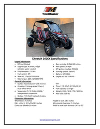 Trailmaster Cheetah 300EX Off Road UTV/Go kart | Fuel Injected Deluxe Adult Version, Center pivot rear end, water cooled motor