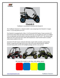 TrailMaster Cheetah 6 Youth Go-Kart - 163cc 5.5HP Engine, 4-Point Safety Belt, Remote Kill, Speed Governor, Suitable for Kids 6-12