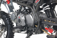 Tao MT-DB20 110cc Youth Dirt Bike, Automatic, Electric Start, Gold Drive Chain, Folding Adjustable Levers, Color Matched Grips, Off Road Only
