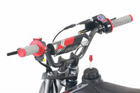 Tao MT-DB20 110cc Youth Dirt Bike, Automatic, Electric Start, Gold Drive Chain, Folding Adjustable Levers, Color Matched Grips, Off Road Only