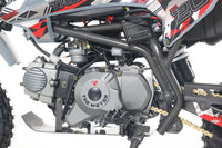 Tao MT-DB20 110cc Youth Dirt Bike, Automatic, Electric Start, Gold Drive Chain, Folding Adjustable Levers, Color Matched Grips, Off Road Only