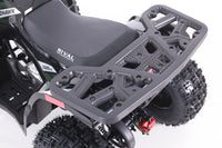 Tao Mudhawk 10, Youth 120cc ATV, Automatic with Reverse, Digital Dash, Parental Controls, LED Headlights, Electric Start