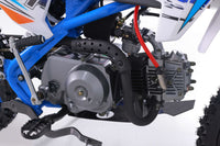 Tao DB24 110cc Youth Dirt Bike, Semi-Automatic, Hydraulic Disc Brakes, Folding Adjustable Levers, Silver Front Forks, Off Road Only