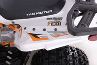 Tao Cheetah Platinum 120cc Youth ATV, Automatic with Reverse, Chrome Rims, Front & Rear Adjustable Shocks, Powder Coated Frame, Race Inspired Suspension, LED Lights