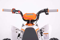 Tao Cheetah Platinum 120cc Youth ATV, Automatic with Reverse, Chrome Rims, Front & Rear Adjustable Shocks, Powder Coated Frame, Race Inspired Suspension, LED Lights