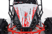 Tao Baja 200 Adult Off Road Go Kart,169cc Air Cooled. Automatic Trans with Reverse, Hydraulic Disc Brakes, LED Head Lights