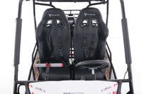 Tao Baja 200 Adult Off Road Go Kart,169cc Air Cooled. Automatic Trans with Reverse, Hydraulic Disc Brakes, LED Head Lights