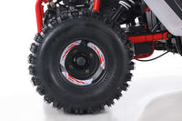 Tao Baja 200 Adult Off Road Go Kart,169cc Air Cooled. Automatic Trans with Reverse, Hydraulic Disc Brakes, LED Head Lights