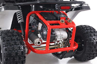 Tao Baja 200 Adult Off Road Go Kart,169cc Air Cooled. Automatic Trans with Reverse, Hydraulic Disc Brakes, LED Head Lights