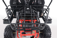 Tao Baja 200 Adult Off Road Go Kart,169cc Air Cooled. Automatic Trans with Reverse, Hydraulic Disc Brakes, LED Head Lights