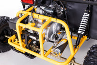 Tao Triton 125 Youth Off Road Go Kart, 120cc Air Cooled, Electric Start. Automatic with Reverse, CDI ignition,