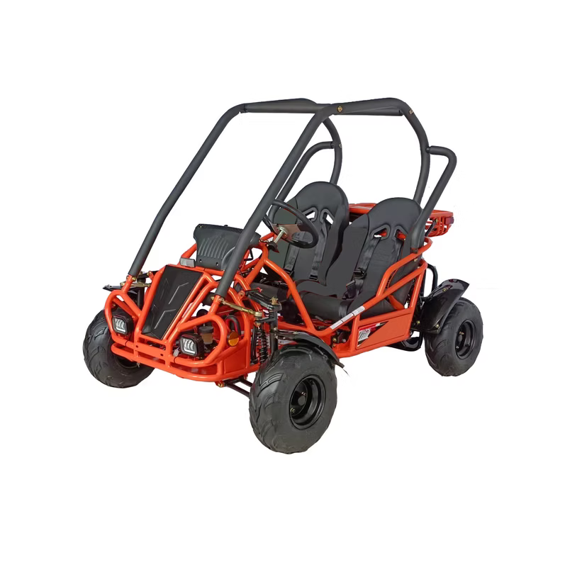 RPS Spyder Mini 125, Kids off road Go Cart, Air Cooled 4 stroke, 7.11 HP,  Adjustable drivers seat, CDI ignition, Electric Start