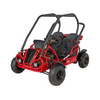 RPS Spyder Mini 125, Kids off road Go Cart, Air Cooled 4 stroke, 7.11 HP,  Adjustable drivers seat, CDI ignition, Electric Start