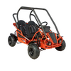 RPS Spyder Mini 125, Kids off road Go Cart, Air Cooled 4 stroke, 7.11 HP,  Adjustable drivers seat, CDI ignition, Electric Start