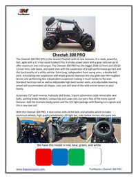 Trailmaster Cheetah 300PRO EFI, Water Cooled, Side Doors, Hard Top, 25" Tires, CVT Trans, 18 HP, Windshield, Light Bar