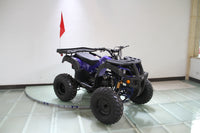 RPS Desert 200 Utility 200ATV-21 Adult ATV - 149cc, Automatic, Reverse, 21" Tires, Dual Racks, LED Lights with Free Battery Charge, up to $49 value