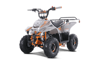 Tao Boulder B1 107cc Youth ATV, Automatic Transmission, Electric Start, Powder Coated Frame, Adjustable Shocks, Front & Rear Brakes, Rear Rack