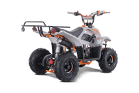 Tao Boulder B1 107cc Youth ATV, Automatic Transmission, Electric Start, Powder Coated Frame, Adjustable Shocks, Front & Rear Brakes, Rear Rack