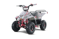 Tao Boulder B1 107cc Youth ATV, Automatic Transmission, Electric Start, Powder Coated Frame, Adjustable Shocks, Front & Rear Brakes, Rear Rack