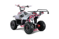Tao Boulder B1 107cc Youth ATV, Automatic Transmission, Electric Start, Powder Coated Frame, Adjustable Shocks, Front & Rear Brakes, Rear Rack