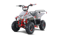 Tao Boulder B1 107cc Youth ATV, Automatic Transmission, Electric Start, Powder Coated Frame, Adjustable Shocks, Front & Rear Brakes, Rear Rack