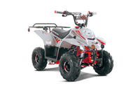 Tao Boulder B1 107cc Youth ATV, Automatic Transmission, Electric Start, Powder Coated Frame, Adjustable Shocks, Front & Rear Brakes, Rear Rack
