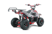 Tao Boulder B1 107cc Youth ATV, Automatic Transmission, Electric Start, Powder Coated Frame, Adjustable Shocks, Front & Rear Brakes, Rear Rack