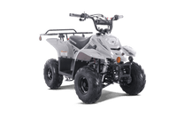 Tao Boulder B1 107cc Youth ATV, Automatic Transmission, Electric Start, Powder Coated Frame, Adjustable Shocks, Front & Rear Brakes, Rear Rack