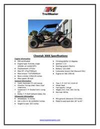 Trailmaster Cheetah 300E Off Road UTV/Go kart 18 HP Fuel Injected, Upgraded rear suspension