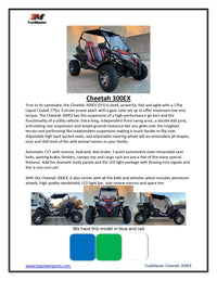 Trailmaster Cheetah 300EX Off Road UTV/Go kart | Fuel Injected Deluxe Adult Version, Center pivot rear end, water cooled motor
