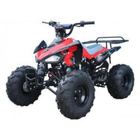 Tao Cheetah G125 Race Style, 107cc Sport Model Ultra Quad - Fully Automatic with Reverse - 19" Tires. CA Legal