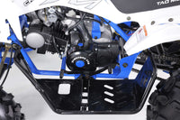 Tao Cheetah G125 107cc Youth ATV, Automatic with Reverse, Front & Rear Adjustable Shocks, Powder Coated Frame, 19 Inch Tires, Race Style