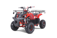 Tao D125 107cc Youth ATV, Automatic with Reverse, Electric Start, Coil Over Shocks, Front & Rear Brakes, Remote Kill, Speed Limiter