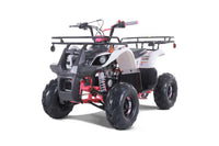 Tao D125 Youth ATV, Mid Size 107cc, Automatic Trans with reverse, Electric Start, Coil Over Shocks, Front and Rear Brakes, Remote Kill, Speed Limiter