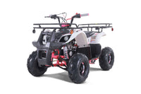 Tao D125 107cc Youth ATV, Automatic with Reverse, Electric Start, Coil Over Shocks, Front & Rear Brakes, Remote Kill, Speed Limiter