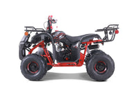 Tao D125 107cc Youth ATV, Automatic with Reverse, Electric Start, Coil Over Shocks, Front & Rear Brakes, Remote Kill, Speed Limiter
