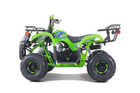 Tao D125 107cc Youth ATV, Automatic with Reverse, Electric Start, Coil Over Shocks, Front & Rear Brakes, Remote Kill, Speed Limiter